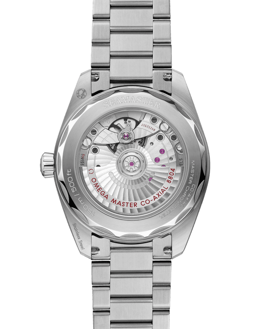 Omega Seamaster Railmaster 38 mm, steel on steel Self Winding Watch 235.10.38.20.13.001