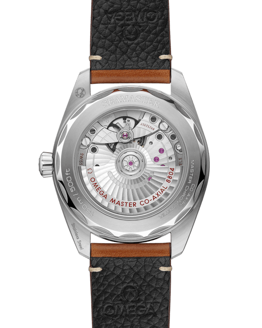 Omega Seamaster Railmaster 38 mm, steel on leather strap Self Winding Watch 235.12.38.20.13.001