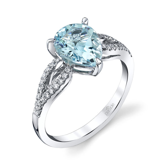 Parade In Color R4403/P1-AQ