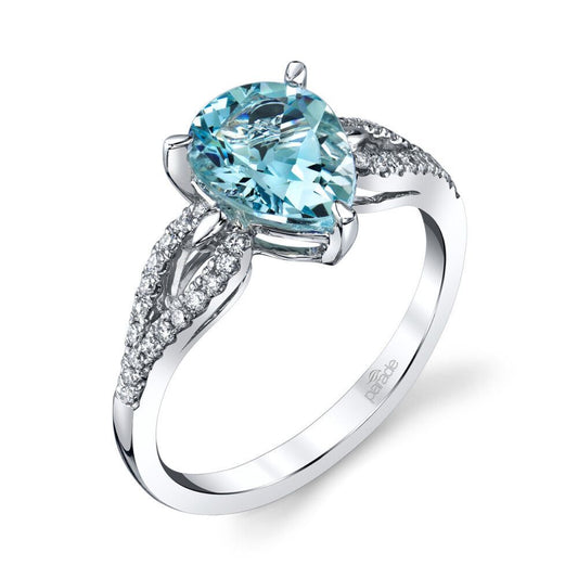 Parade In Color R4403/P1-BZ