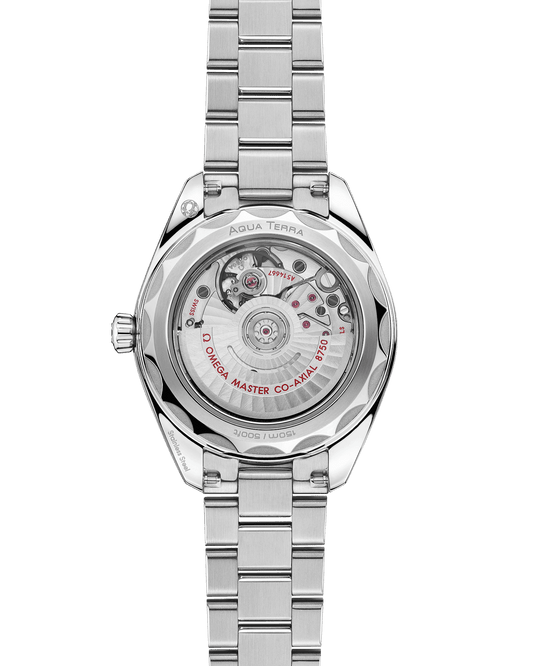 Omega Seamaster Aqua Terra 150M Self Winding Watch 220.10.30.20.10.002