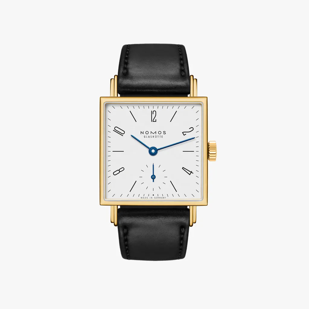 tetra-gold-27