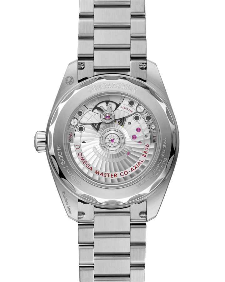 Omega Seamaster Railmaster 38 mm, steel on steel Self Winding Watch 235.10.38.20.06.001