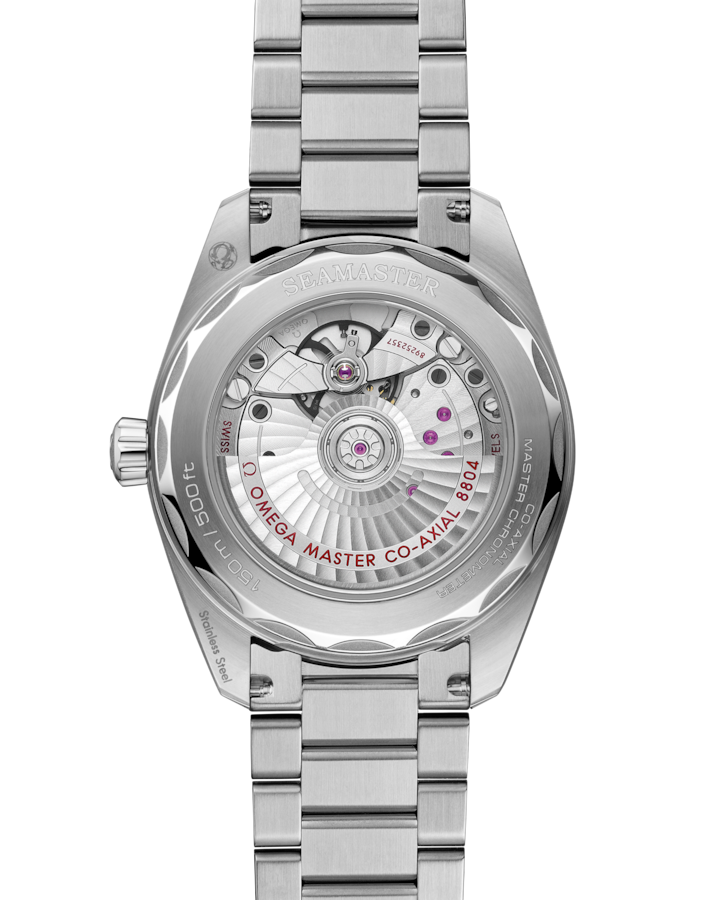 Omega Seamaster Railmaster 38 mm, steel on steel Self Winding Watch 235.10.38.20.13.001