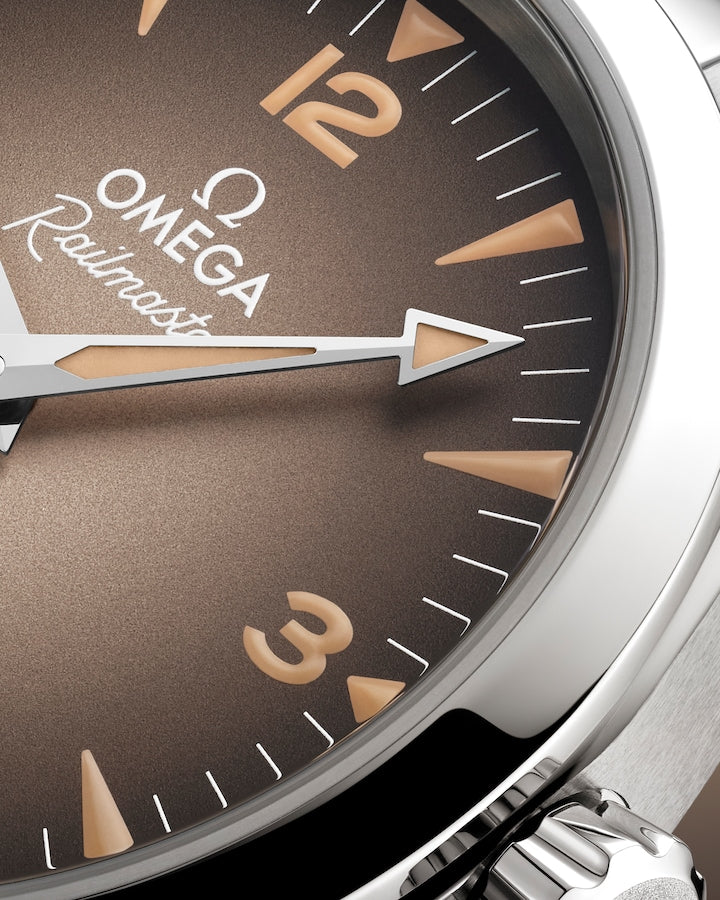 Omega Seamaster Railmaster 38 mm, steel on steel Self Winding Watch 235.10.38.20.13.001