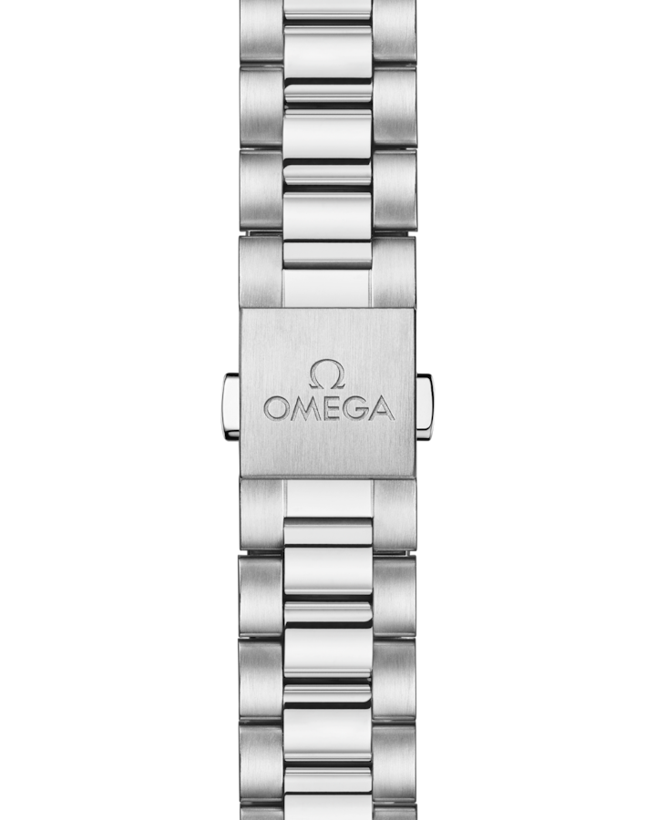 Omega Seamaster Railmaster 38 mm, steel on steel Self Winding Watch 235.10.38.20.13.001