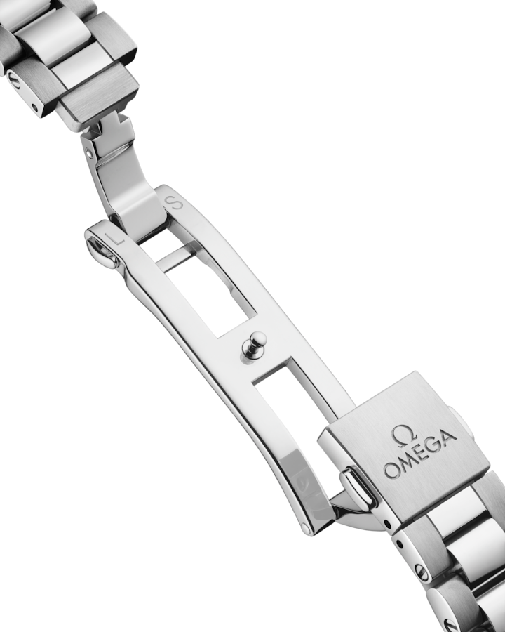 Omega Seamaster Railmaster 38 mm, steel on steel Self Winding Watch 235.10.38.20.13.001