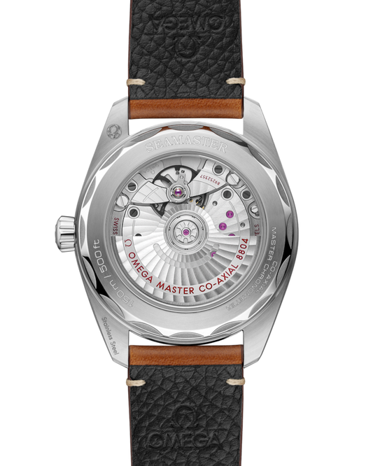 Omega Seamaster Railmaster 38 mm, steel on leather strap Self Winding Watch 235.12.38.20.13.001