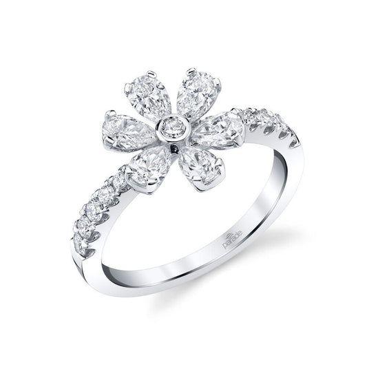 Parade in Fashion BD4620B