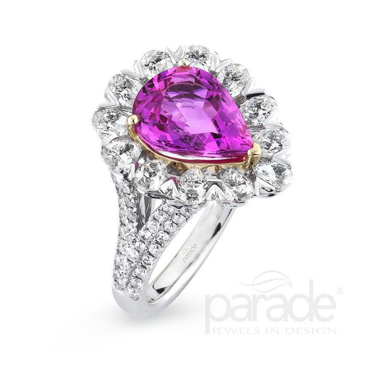 Parade In Color R2950/P1-WYPS