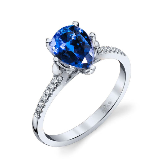 Parade In Color R4402/P1-SA