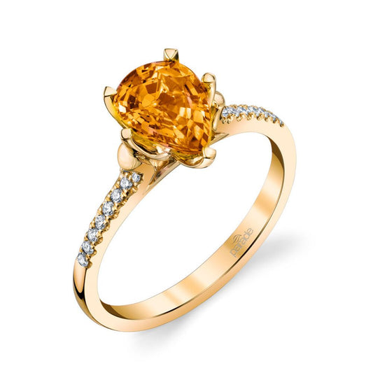 Parade In Color R4402/P1-YS