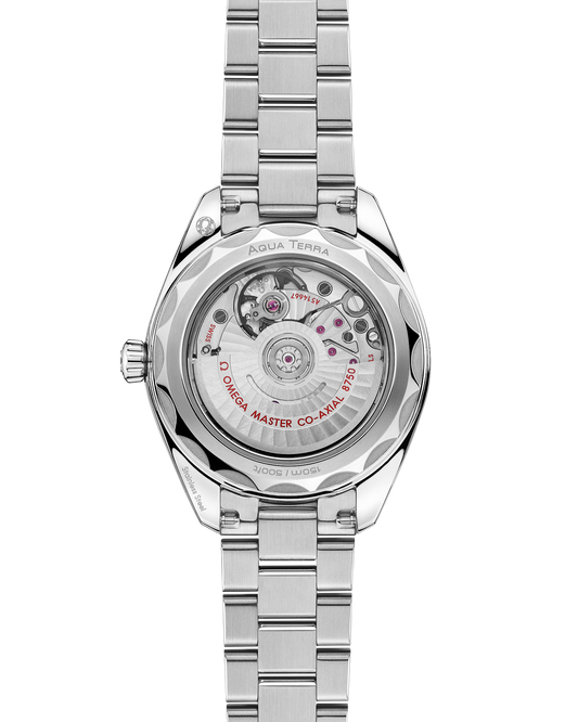 Omega Seamaster Aqua Terra 150M Self Winding Watch 220.10.30.20.10.002