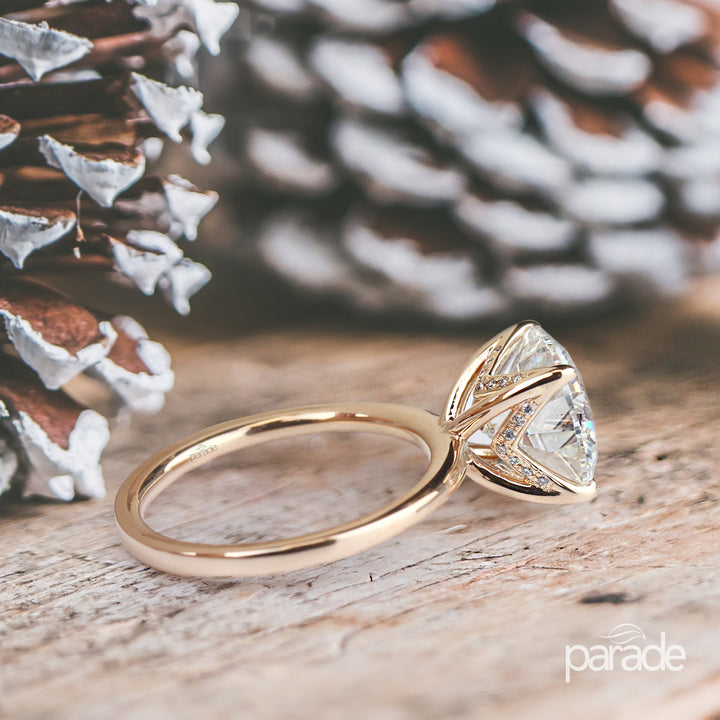 parade design r2996d r4