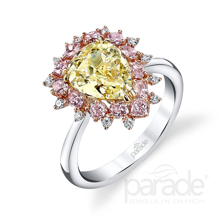 parade design bmr3415 p1 yd